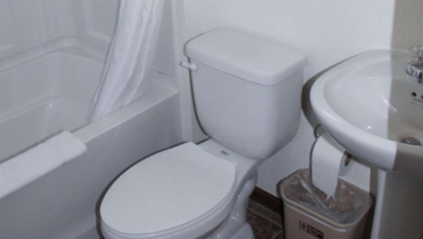 Golden Wheat Budget Host Inn image 19