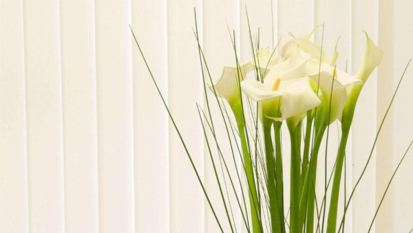 Golden Wheat Budget Host Inn image 21